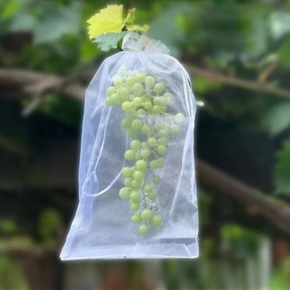 Plant Parent Tools - 100 adet Üzüm Meyve Çanta Büyümek