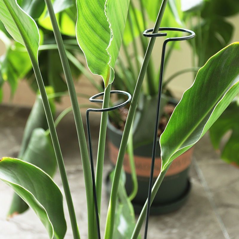 1/10 adet Bahçe Desteği Kazık  - Plant Parent Tools incelemesi ve fiyatı