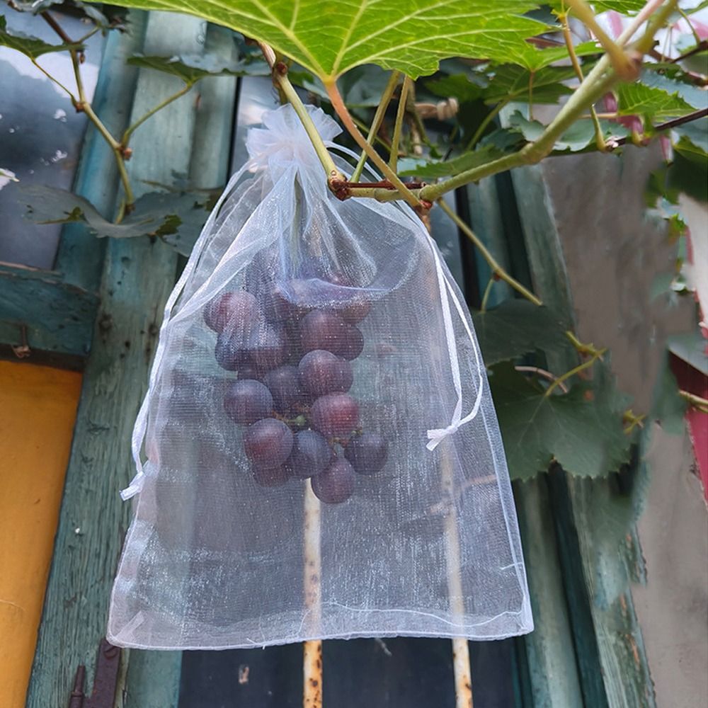 100 adet Üzüm Meyve Çanta Büyü - Plant Parent Tools incelemesi ve fiyatı