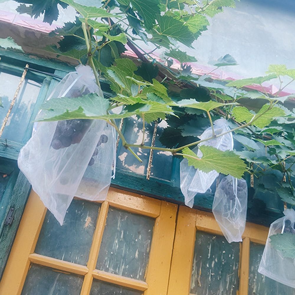 100 adet Üzüm Meyve Çanta Büyü - Plant Parent Tools incelemesi ve fiyatı