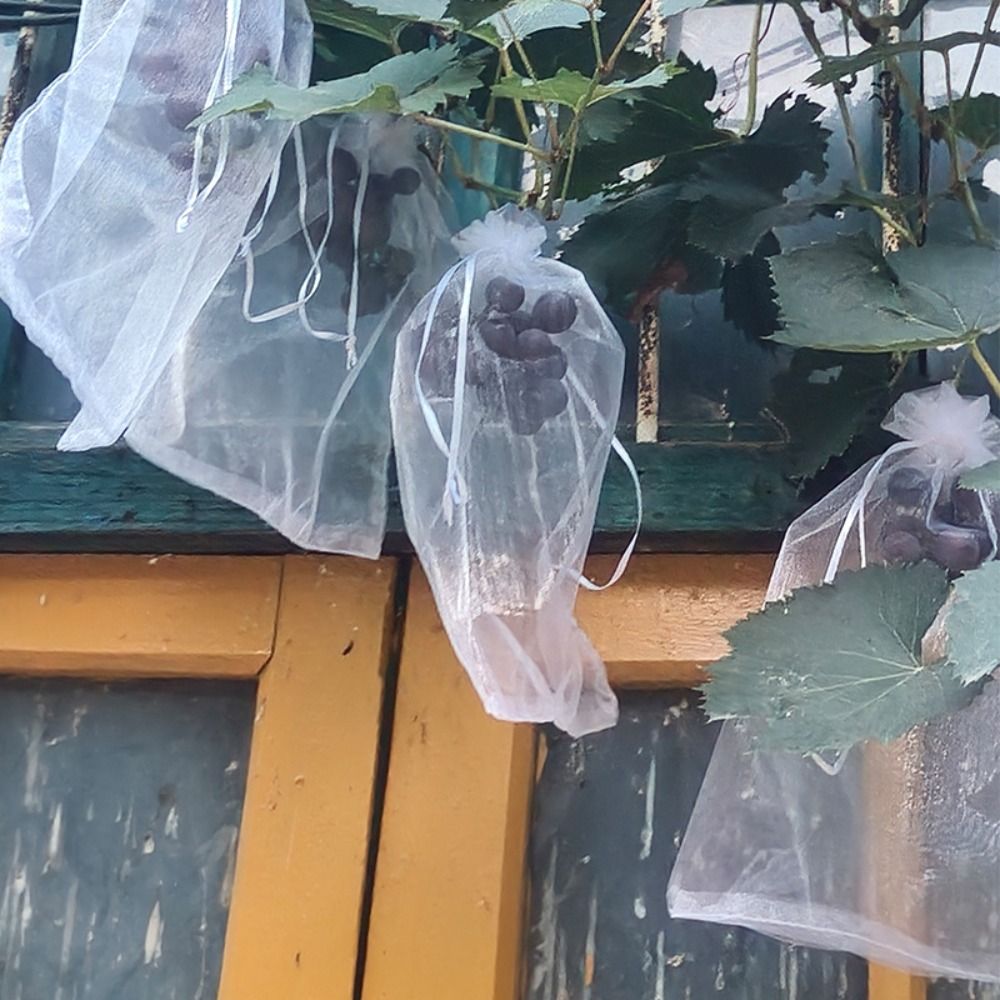 100 adet Üzüm Meyve Çanta Büyü - Plant Parent Tools incelemesi ve fiyatı