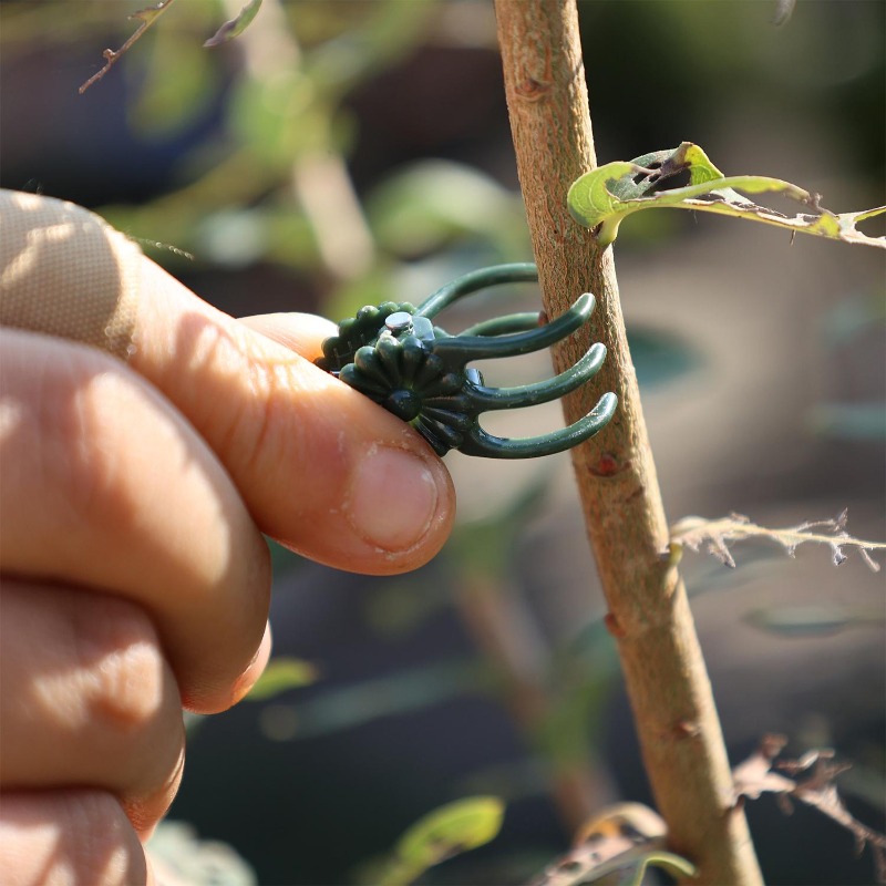 Toptan Mini Bitki Destek Klips - Plant Parent Tools incelemesi ve fiyatı