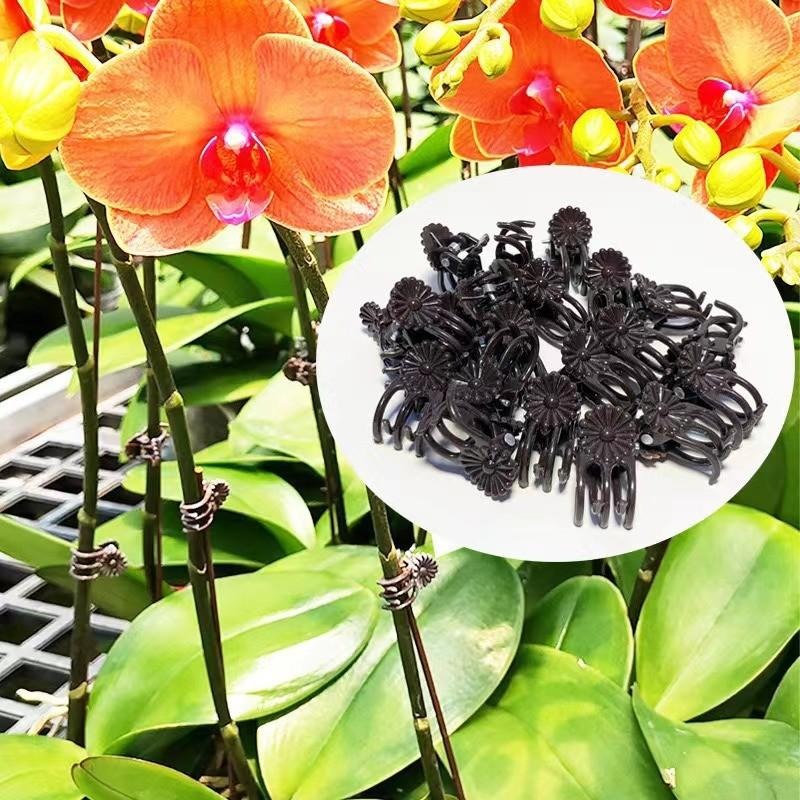 Toptan Mini Bitki Destek Klips - Plant Parent Tools incelemesi ve fiyatı