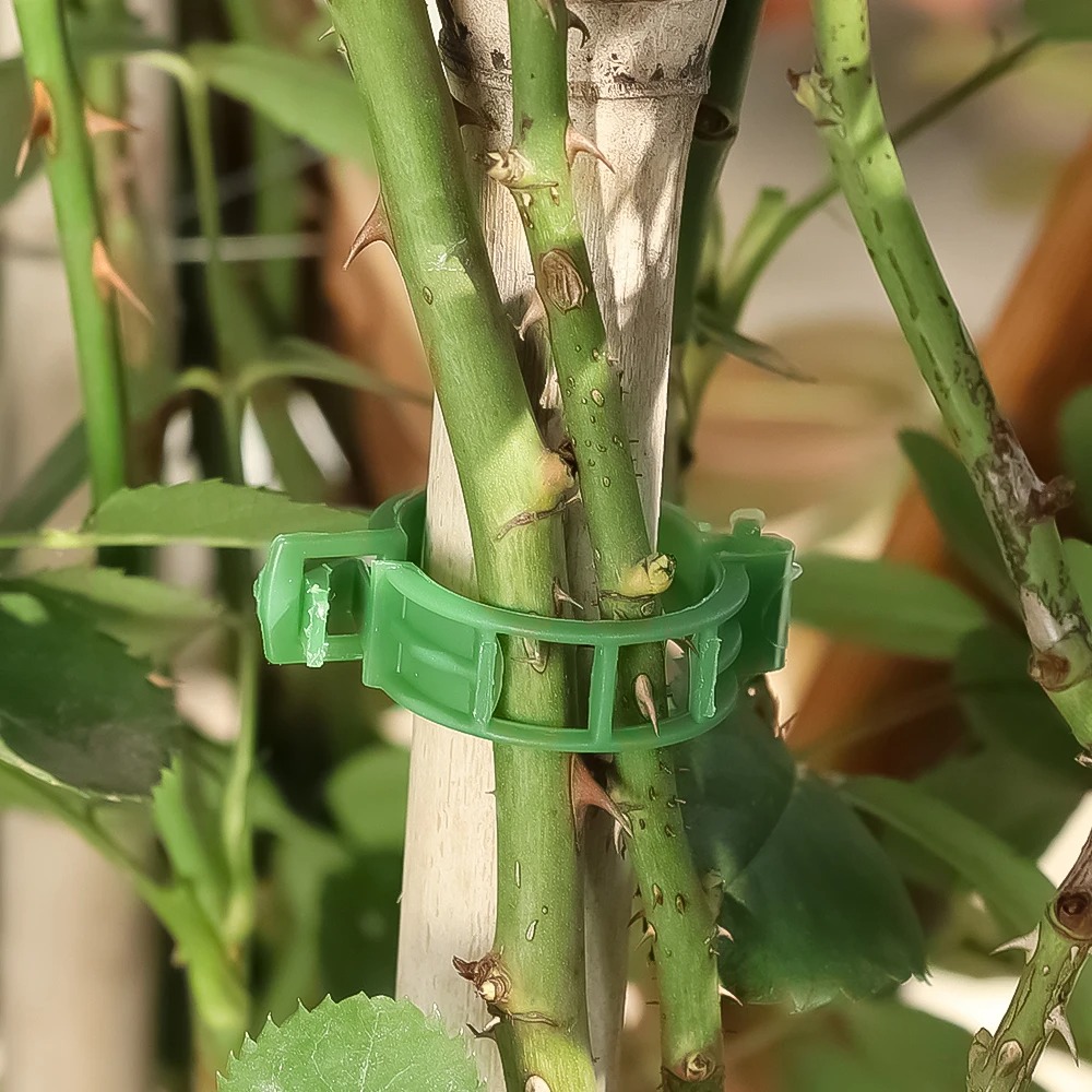 100/10 adet bitki destek klips - Plant Parent Tools incelemesi ve fiyatı