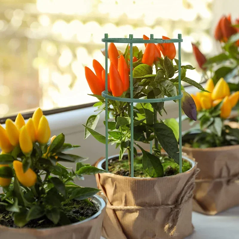 Plastik Bitki Destek Çubuğu St - Plant Parent Tools incelemesi ve fiyatı