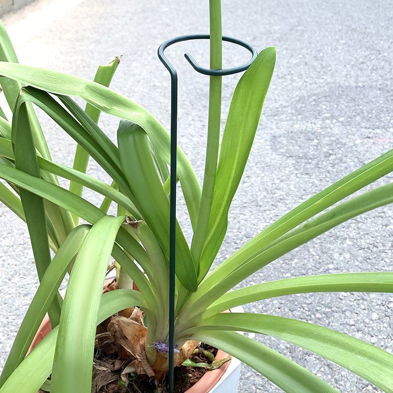 1-10 adet Metal Tek Kök Bitki  - Plant Parent Tools incelemesi ve fiyatı