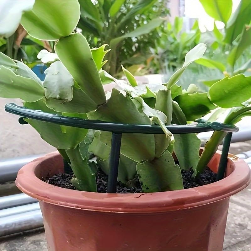 30-1 adet plastik bitki desteğ - Plant Parent Tools incelemesi ve fiyatı