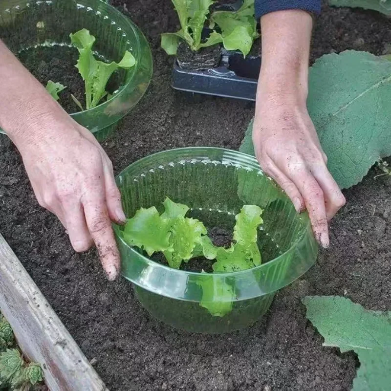 Bitkiler Sümüklüböcek Koruma H - Plant Parent Tools incelemesi ve fiyatı