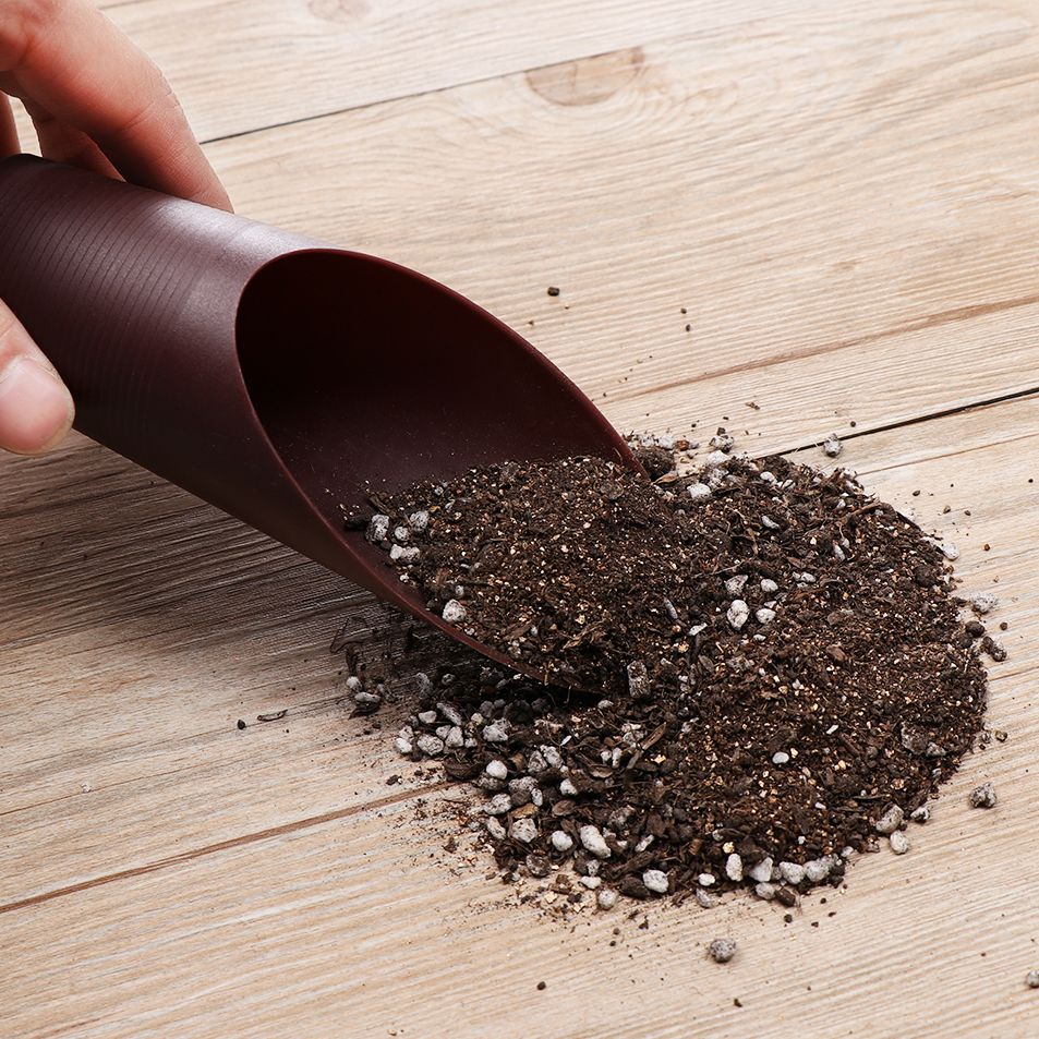 1 adet plastik toprak kürek ba - Plant Parent Tools incelemesi ve fiyatı